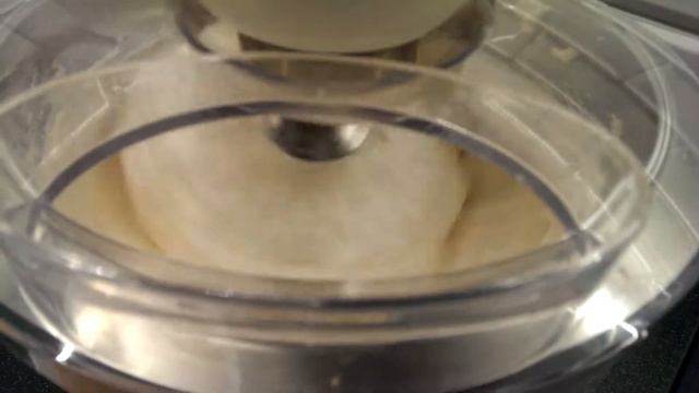 Robót kuchenny Bosch MaxxiMum - ubijanie piany do bezy смотреть онлайн