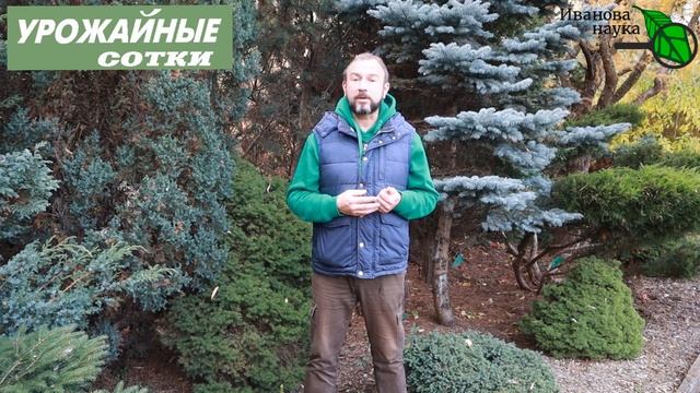 УЗНАЙТЕ, надо ли раскислять и известковать почву НА ВАШЕМ УЧАСТКЕ? Избыток известкования ОПАСЕН! смотреть онлайн