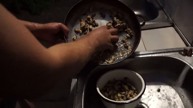Готовим МИДИИ(полная версия) смотреть онлайн