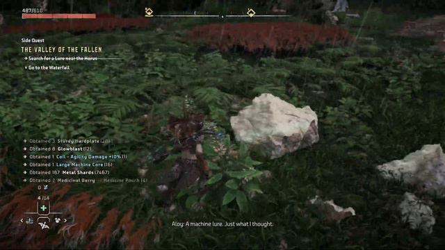 Horizon Forbidden West - The Valley of The Fallen: Override The Lures at FAS-BOR7 Horus & Waterfall смотреть онлайн