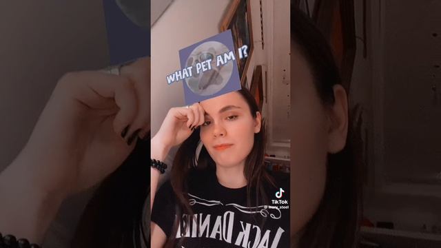 Какой ты🫵кот