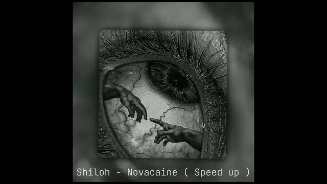 Shiloh Dynasty - Novacaine - [Speed up] смотреть онлайн