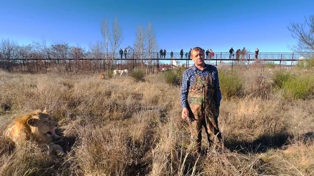 ПРОВОКАТОРЫ в Тайгане или как ОДНОЙ КУРИЦЕЙ накормить 50 ЛЬВОВ?