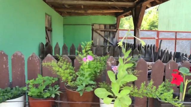 #переезднаюг #сербия ДОМ НА ПРОДАЖУ недалеко от города 70 соток смотреть онлайн