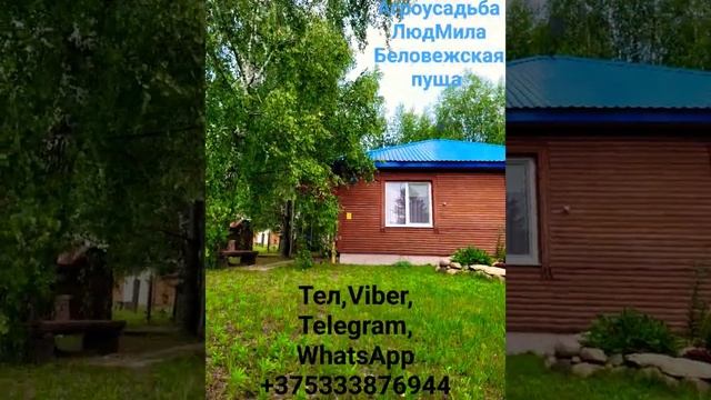 Агроусадьба«ЛюдМила» Беловежская пуща а.г. Каменюки, рядом лес, река Лесная,озера, музей, вольеры. смотреть онлайн
