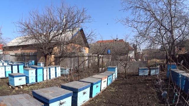 Все о весенней подкормки пчел Пчеловодство 2021 Пчеловодство для начинающих смотреть онлайн