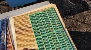 Сравнение разделительных решоток для многокорпусных ульев. Какие пчелам лучше?