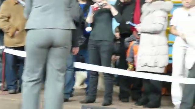 Моно ДОБЕРМАНОВ Челябинск 13.02.11 Прозоров.Д. смотреть онлайн
