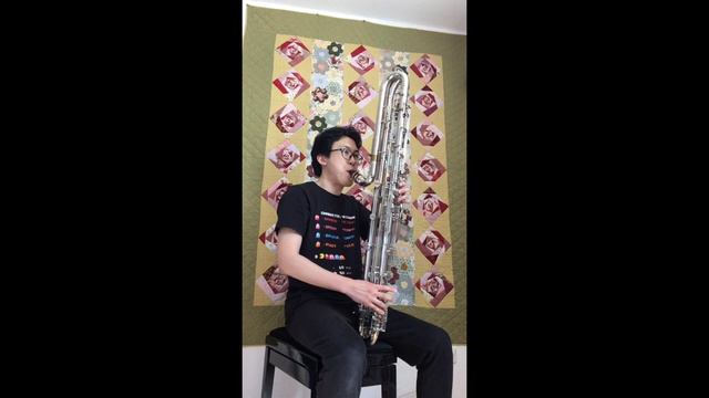 Hiroki Yamada - Molto Feroce for Contrabass Clarinet solo смотреть онлайн