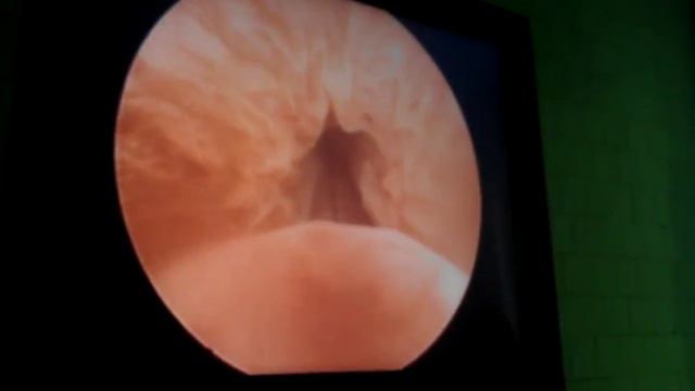 Ответы Для Всех Людей