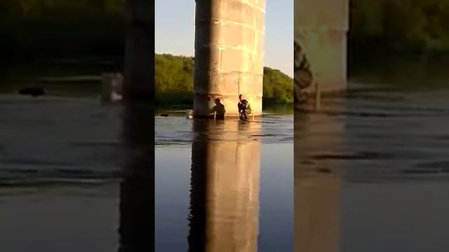 Дубаль2 сазан на кукурузу смотреть онлайн