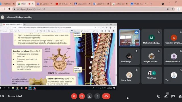 Biology 4D Chapter 14 - Support and Movement in Humans and animals (14.1 - 14.2) смотреть онлайн