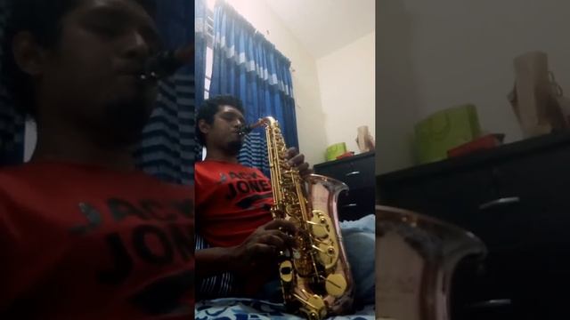 Saxophone player in Bangladesh.Song - Besame mucho.Bauhaus Alto Saxophone. смотреть онлайн