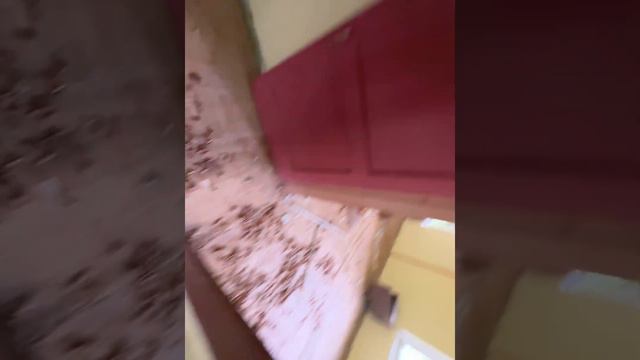 ЛАГЕРЬ ВОСХОД(Энергетик), ЕГО ДНИ ПРОШЛИ😱Часть2 смотреть онлайн