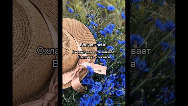 Магия цвета