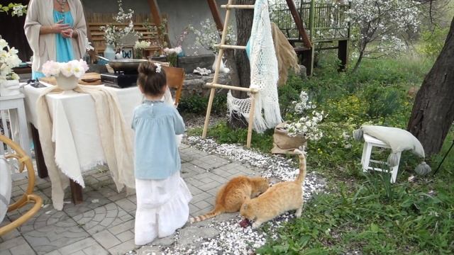 Горячие,быстрые закуски к вину и песто из крапивы смотреть онлайн