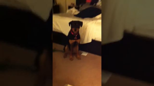 Young Odessa смотреть онлайн