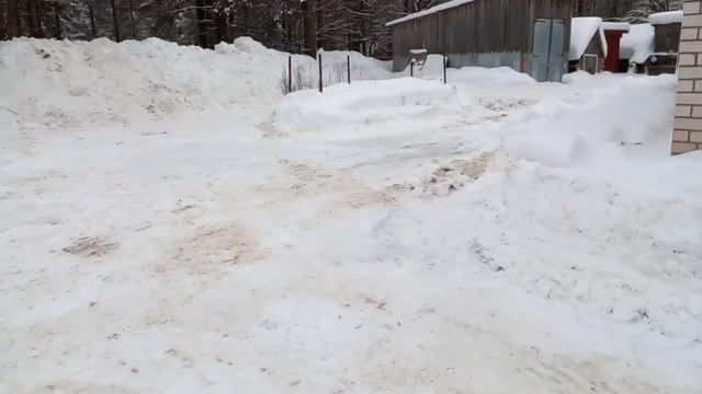 НАВЕЛИ ПОРЯДОК У ДИКСИ??? смотреть онлайн