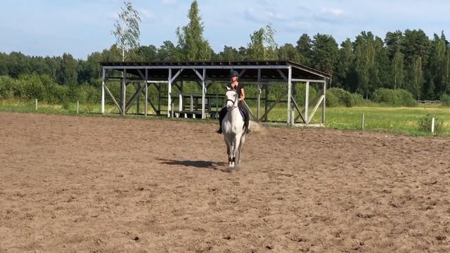 Sold!!! Corbella, 2011, mare смотреть онлайн