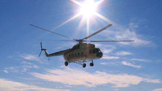 Охота на волков... смотреть онлайн