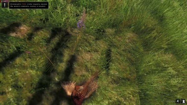 theHunter Classic. Симулятор охоты. Первое впечатление - минимальный обзор на игру