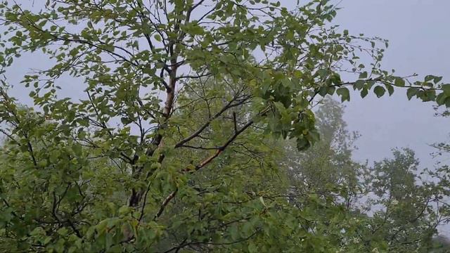Зарисовки вольной странницы: Таганай 2022 смотреть онлайн
