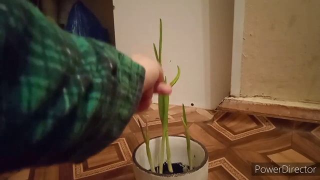 4 апреля 2021 г. смотреть онлайн