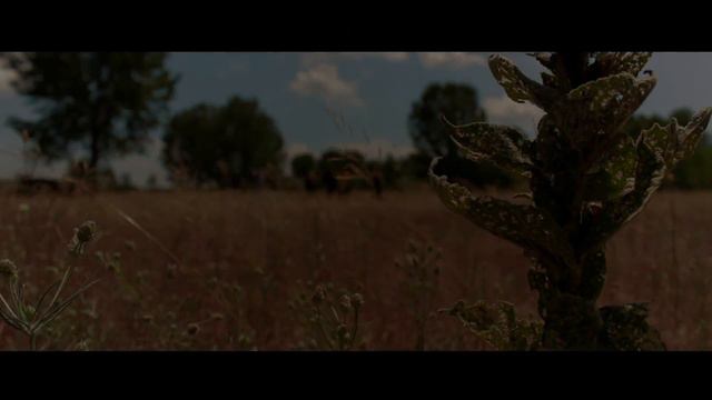 Hanzo's redemption (Mortal Kombat fan film) смотреть онлайн