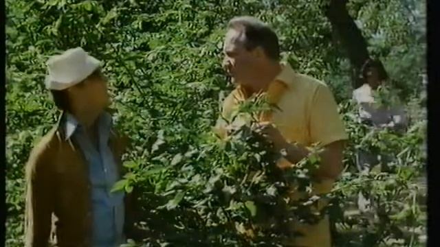 Rötmånad (1970) - Trailer (Rare) смотреть онлайн