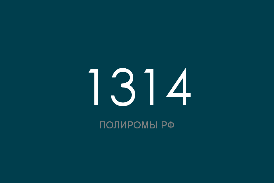 ПОЛИРОМ номер 1314 смотреть онлайн