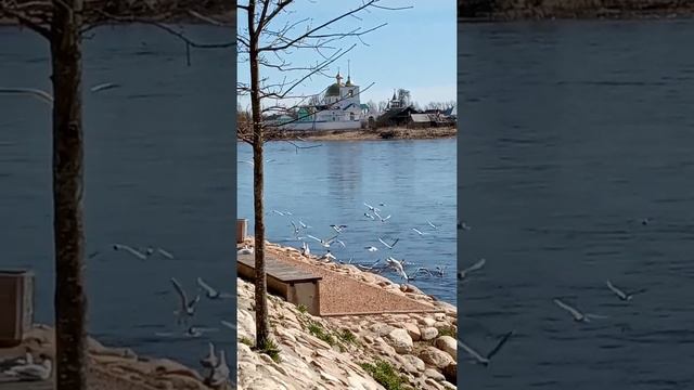 город Сказка,город Мечта... смотреть онлайн