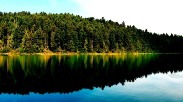 Звуки природы , Звуки леса , Успокаивающее пение птиц смотреть онлайн