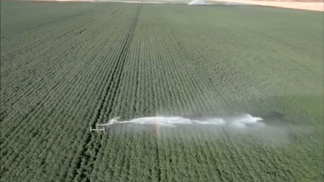 Чипсы Пир картофель смотреть онлайн