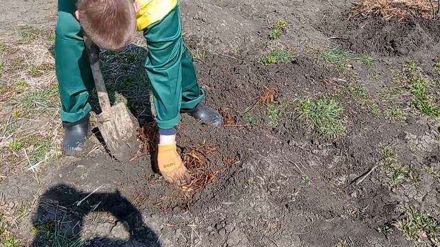 Выкапываем Инжир смотреть онлайн