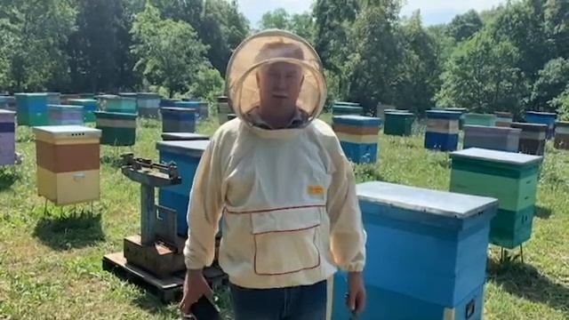 Руководство к Креативному Искусству