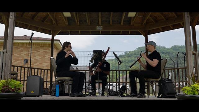 PROS PLAY SUPER MARIO THEME for Flute/Oboe/Bassoon смотреть онлайн
