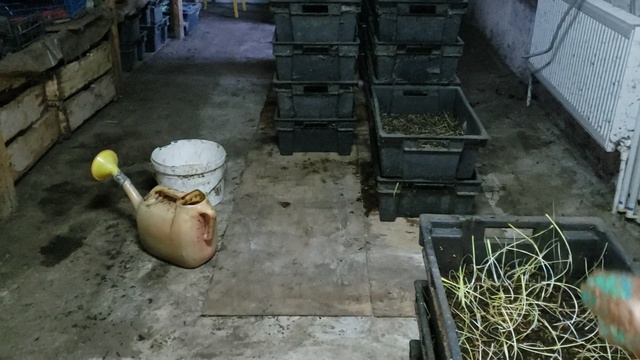 Кормлю червей 4 октября 2023г. смотреть онлайн