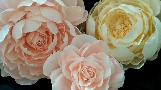 Создание ростовых цветов пионов розы из гофробумаги смотреть онлайн