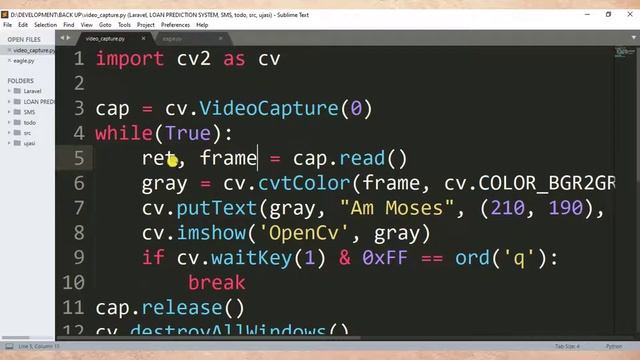 Meaning of ret and frame in Python OpenCv смотреть онлайн