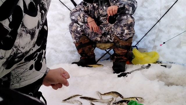 ???Зимняя рыбалка на корюшку???Сахалинская природа просто бомба????? смотреть онлайн