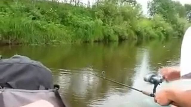 Путешествие по р. Виледь 2009 ч.2 смотреть онлайн