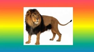 Автоматизация звука Ль (видеурок)