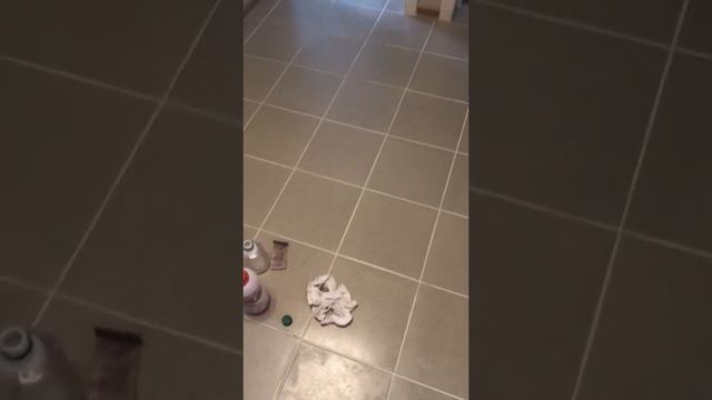 Смывка эпоксидной затирки SYNTILOR Epossido видео отзыв смотреть онлайн