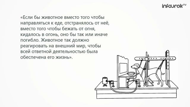 Новые знания о человеке. Деятельность нервной системы | Окружающий мир 4 класс #34 | Инфоурок смотреть онлайн