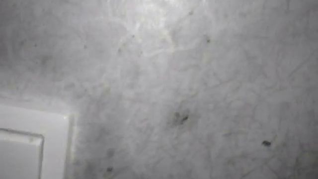 Утро после сна испуг невисть смотреть онлайн