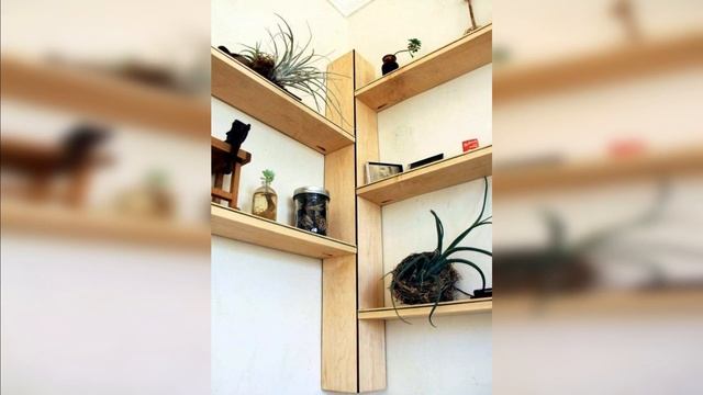 Угловые полки. смотреть онлайн