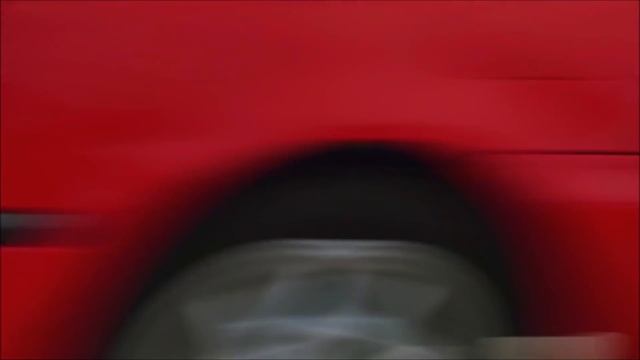 New Ultimate Aaron's Animal's Video Compilation 2019!