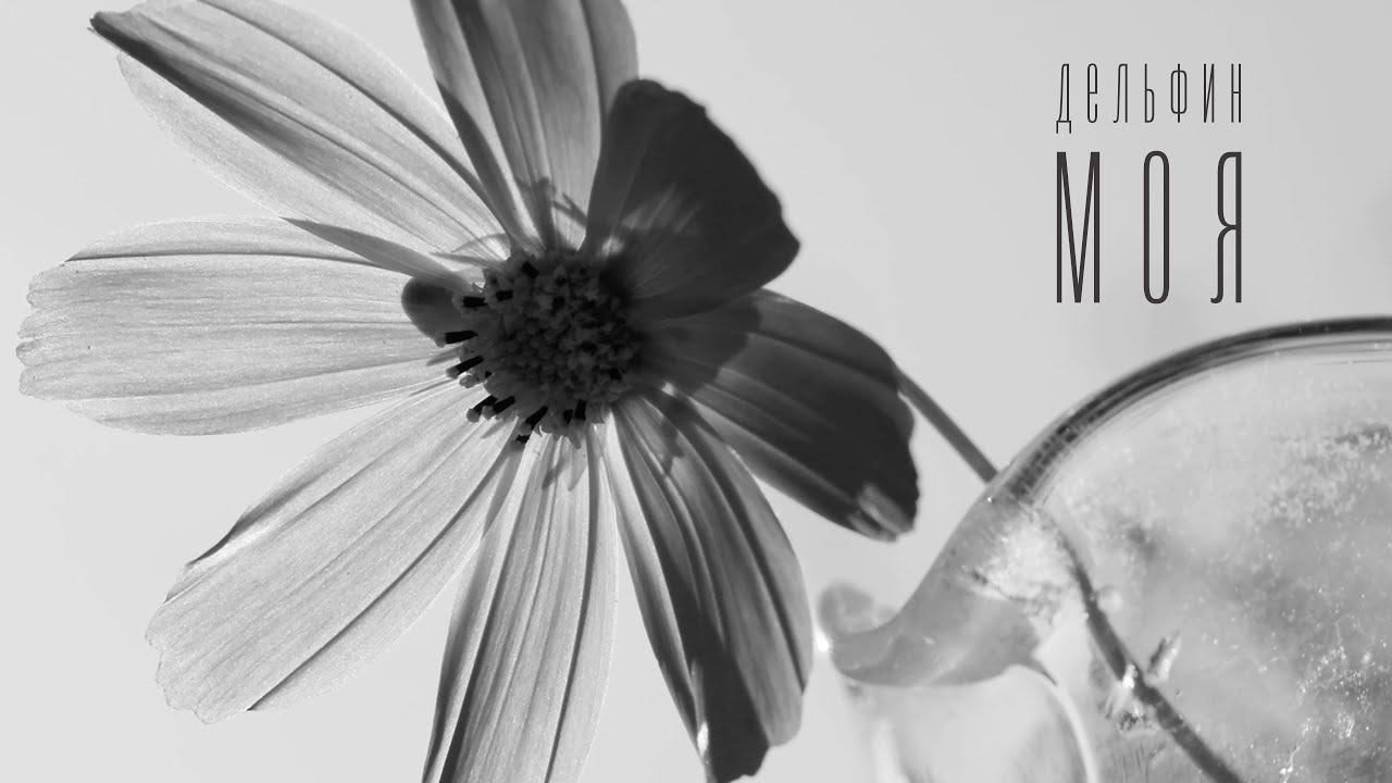 Дельфин — Моя смотреть онлайн