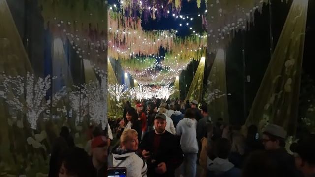 Площадь Ленина. Композиция "Времена года" смотреть онлайн