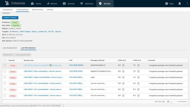 SaltStack Protect - vulnerability remediation overview смотреть онлайн